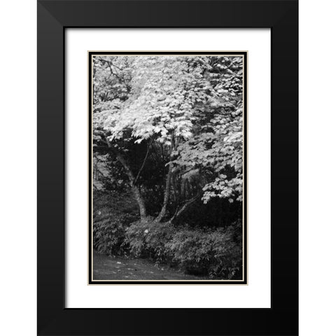 Fall Abundance IV B and W Black Modern Wood Framed Art Print with Double Matting by Geyman, Vitaly