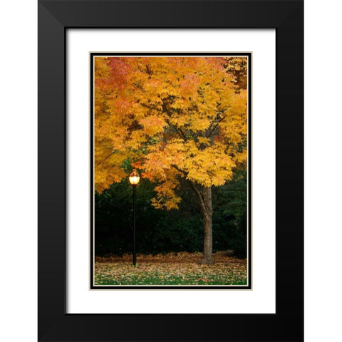 Fall Abundance IX Black Modern Wood Framed Art Print with Double Matting by Geyman, Vitaly