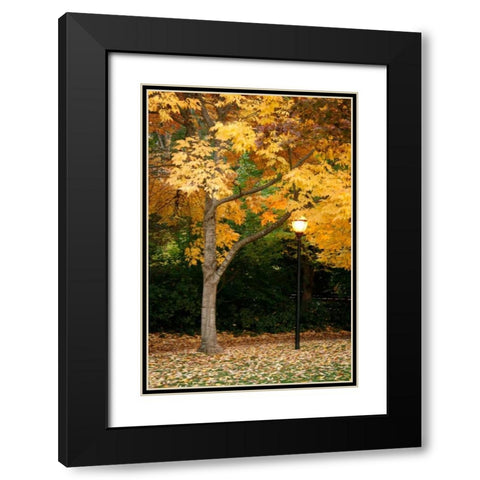 Fall Abundance X Black Modern Wood Framed Art Print with Double Matting by Geyman, Vitaly