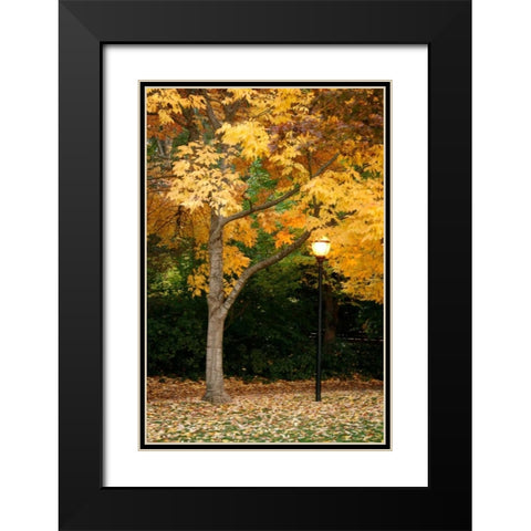 Fall Abundance X Black Modern Wood Framed Art Print with Double Matting by Geyman, Vitaly