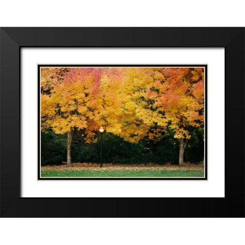 Fall Abundance V Black Modern Wood Framed Art Print with Double Matting by Geyman, Vitaly