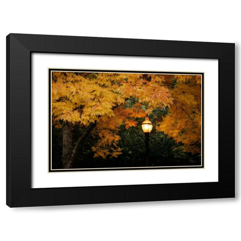 Fall Abundance VII Black Modern Wood Framed Art Print with Double Matting by Geyman, Vitaly