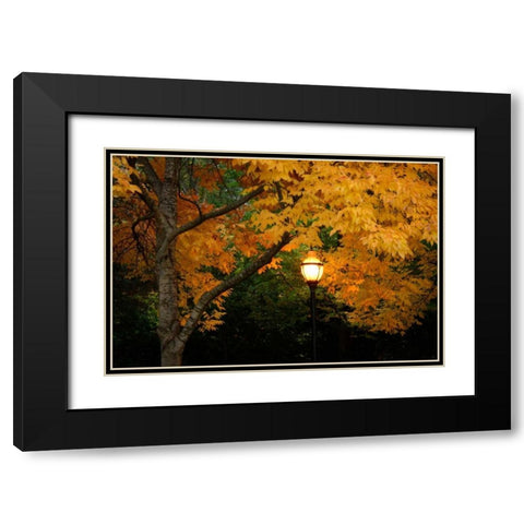 Fall Abundance VIII Black Modern Wood Framed Art Print with Double Matting by Geyman, Vitaly