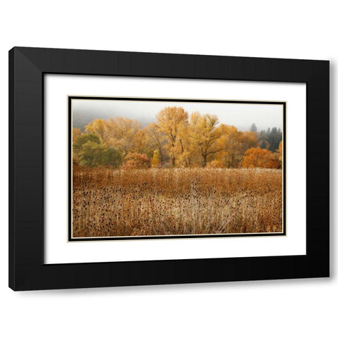 Field of Gold II Black Modern Wood Framed Art Print with Double Matting by Geyman, Vitaly