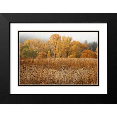 Field of Gold II Black Modern Wood Framed Art Print with Double Matting by Geyman, Vitaly