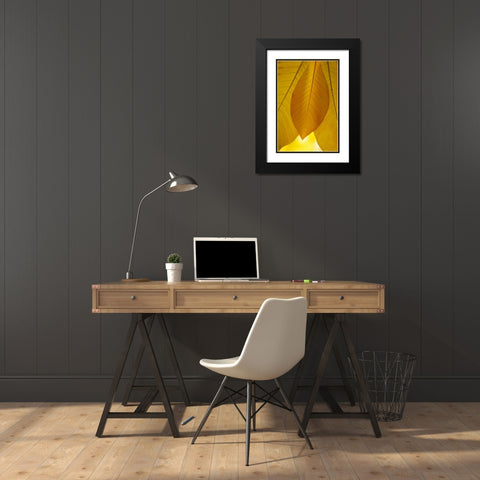 Golden Leafs I Black Modern Wood Framed Art Print with Double Matting by Geyman, Vitaly