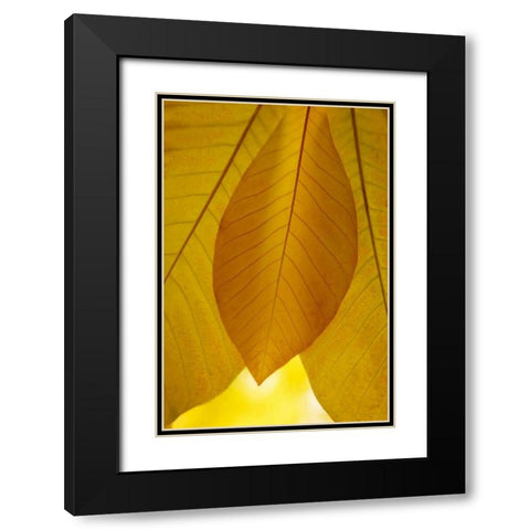 Golden Leafs I Black Modern Wood Framed Art Print with Double Matting by Geyman, Vitaly