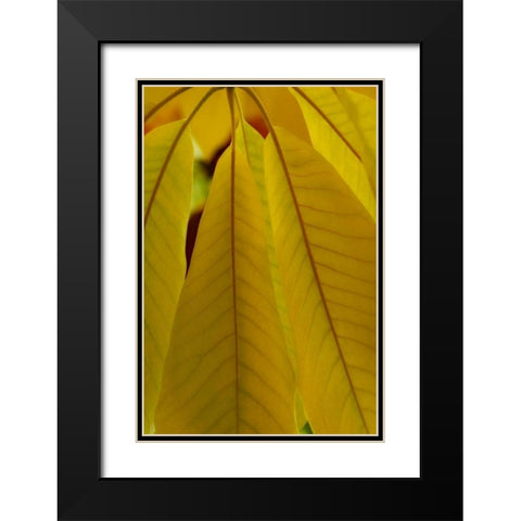 Golden Leafs II Black Modern Wood Framed Art Print with Double Matting by Geyman, Vitaly