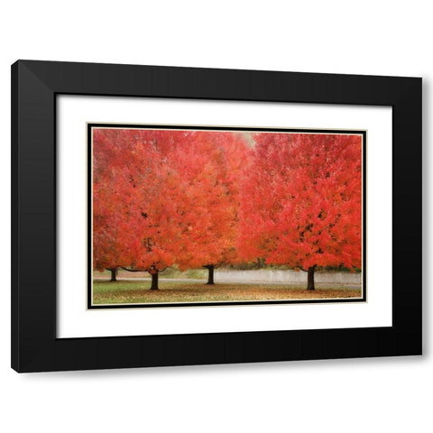 Fall Beauty II Black Modern Wood Framed Art Print with Double Matting by Geyman, Vitaly