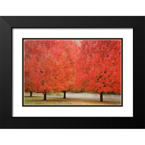 Fall Beauty II Black Modern Wood Framed Art Print with Double Matting by Geyman, Vitaly