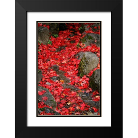 Fall Mandala II Black Modern Wood Framed Art Print with Double Matting by Geyman, Vitaly