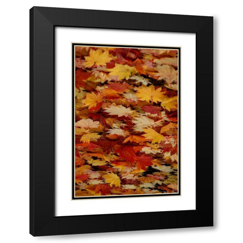 Fall Mandala III Black Modern Wood Framed Art Print with Double Matting by Geyman, Vitaly