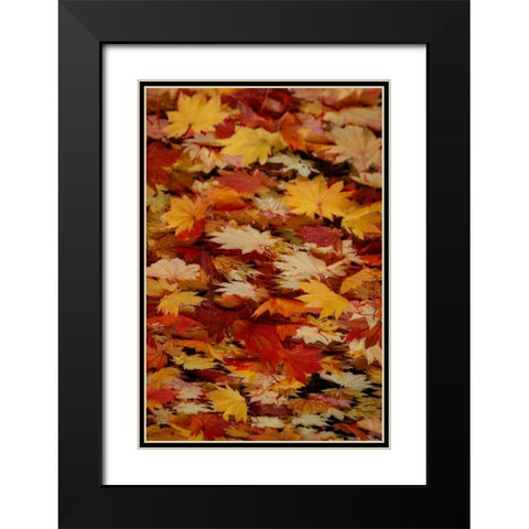 Fall Mandala III Black Modern Wood Framed Art Print with Double Matting by Geyman, Vitaly
