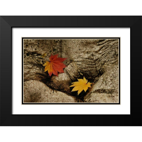 Ancient Beauty Black Modern Wood Framed Art Print with Double Matting by Geyman, Vitaly