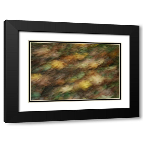 Fall Impressions I Black Modern Wood Framed Art Print with Double Matting by Geyman, Vitaly
