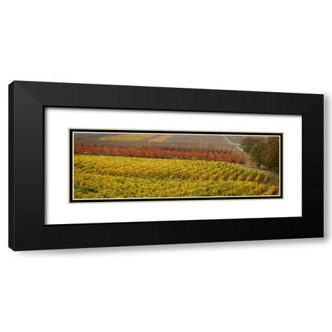 Vineyard Black Modern Wood Framed Art Print with Double Matting by Geyman, Vitaly