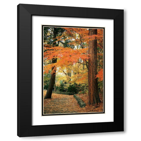 Fall Colors I Black Modern Wood Framed Art Print with Double Matting by Geyman, Vitaly