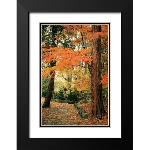 Fall Colors I Black Modern Wood Framed Art Print with Double Matting by Geyman, Vitaly