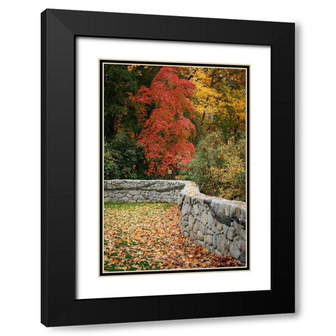 Fall Colors II Black Modern Wood Framed Art Print with Double Matting by Geyman, Vitaly