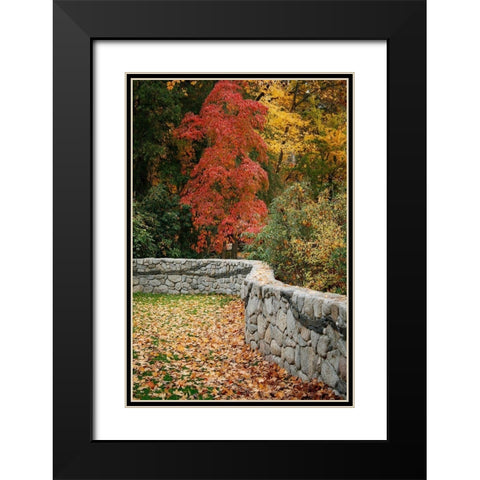 Fall Colors II Black Modern Wood Framed Art Print with Double Matting by Geyman, Vitaly