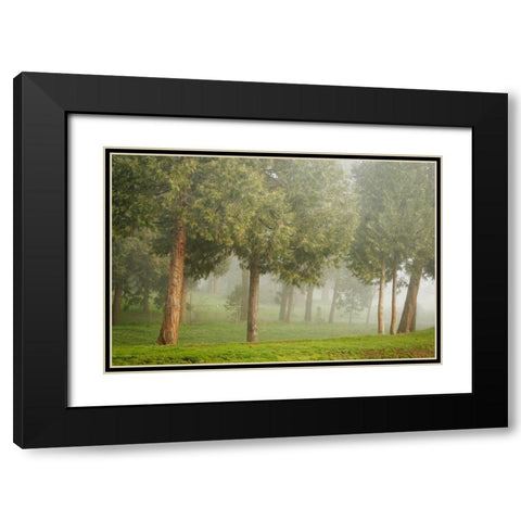 Mystic Woods I Black Modern Wood Framed Art Print with Double Matting by Geyman, Vitaly