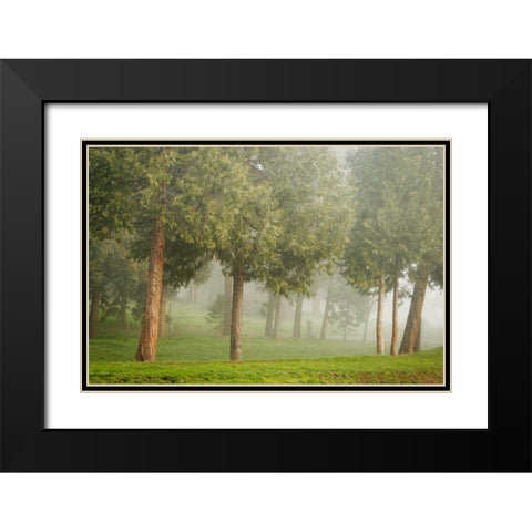 Mystic Woods I Black Modern Wood Framed Art Print with Double Matting by Geyman, Vitaly