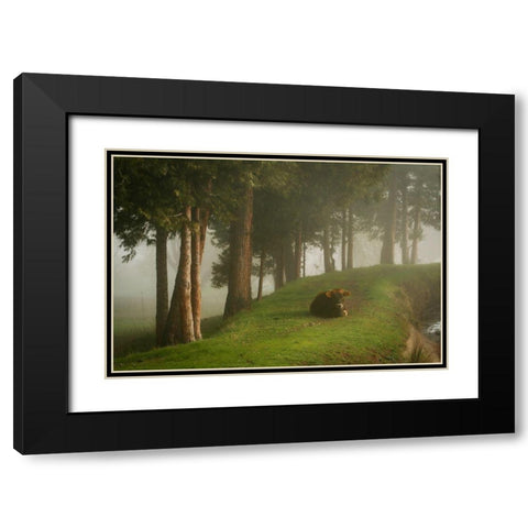 Mystic Woods II Black Modern Wood Framed Art Print with Double Matting by Geyman, Vitaly
