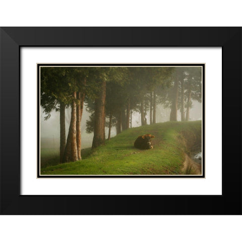 Mystic Woods II Black Modern Wood Framed Art Print with Double Matting by Geyman, Vitaly