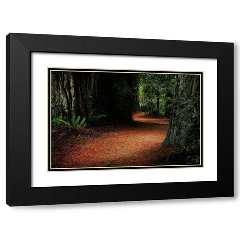 Redwood Mystery Black Modern Wood Framed Art Print with Double Matting by Geyman, Vitaly