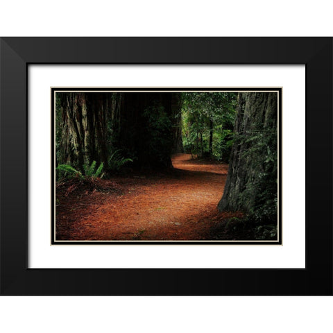 Redwood Mystery Black Modern Wood Framed Art Print with Double Matting by Geyman, Vitaly