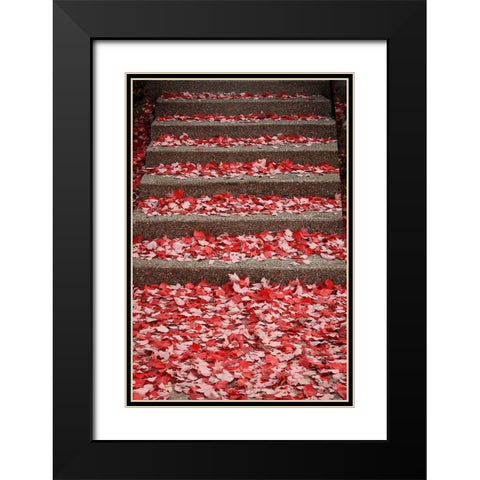 Red Carpet I Black Modern Wood Framed Art Print with Double Matting by Geyman, Vitaly