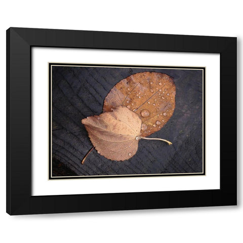Seasons I Black Modern Wood Framed Art Print with Double Matting by Geyman, Vitaly