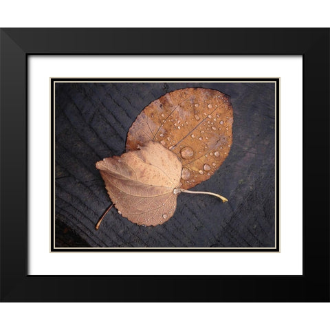 Seasons I Black Modern Wood Framed Art Print with Double Matting by Geyman, Vitaly