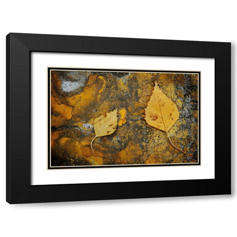 Curb Leaves Black Modern Wood Framed Art Print with Double Matting by Geyman, Vitaly