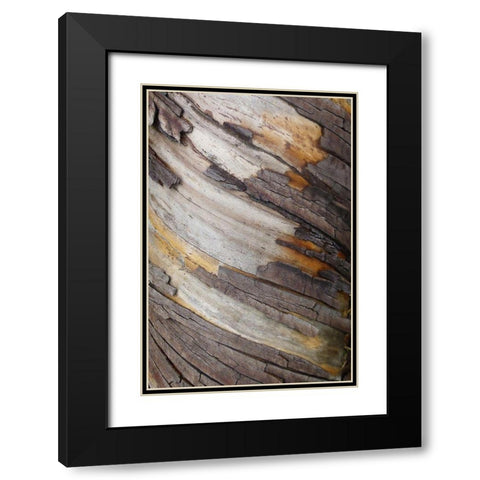 Bark Art I Black Modern Wood Framed Art Print with Double Matting by Geyman, Vitaly