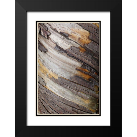 Bark Art I Black Modern Wood Framed Art Print with Double Matting by Geyman, Vitaly