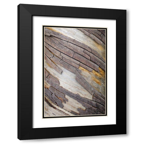 Bark Art II Black Modern Wood Framed Art Print with Double Matting by Geyman, Vitaly