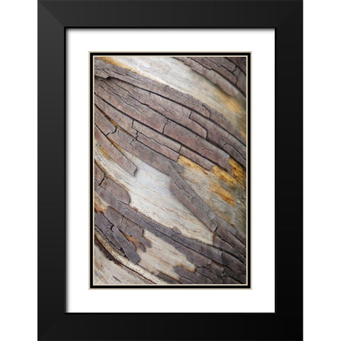 Bark Art II Black Modern Wood Framed Art Print with Double Matting by Geyman, Vitaly