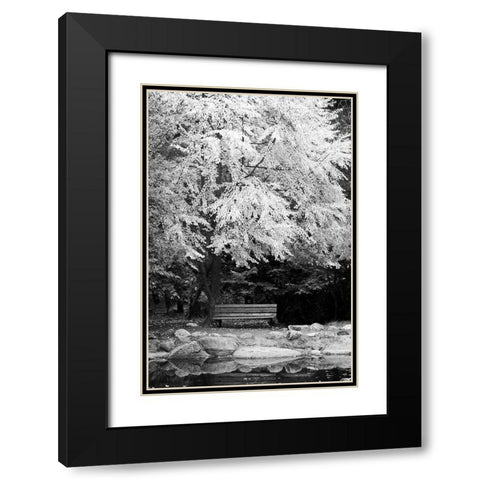 Silver Fall I Black Modern Wood Framed Art Print with Double Matting by Geyman, Vitaly