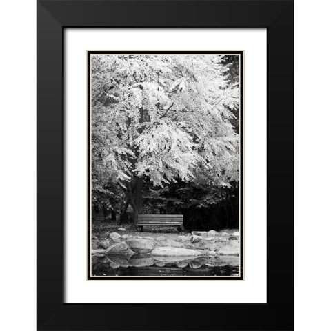 Silver Fall I Black Modern Wood Framed Art Print with Double Matting by Geyman, Vitaly