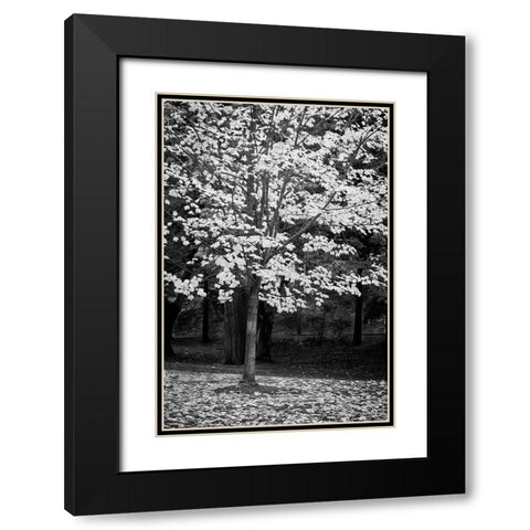 Silver Fall III Black Modern Wood Framed Art Print with Double Matting by Geyman, Vitaly