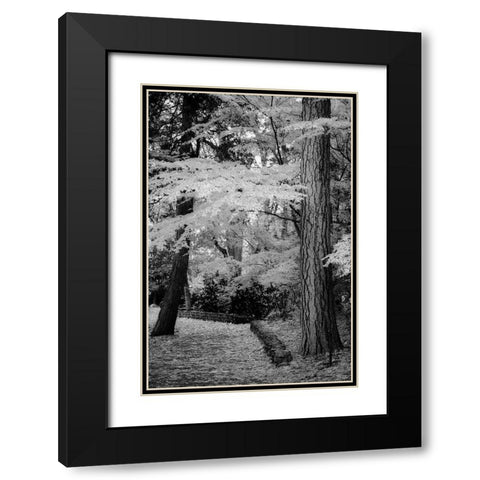 Silver Fall IV Black Modern Wood Framed Art Print with Double Matting by Geyman, Vitaly
