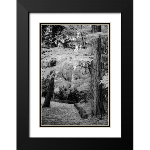 Silver Fall IV Black Modern Wood Framed Art Print with Double Matting by Geyman, Vitaly