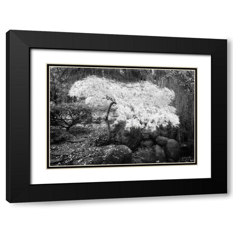 Magic Tree Black Modern Wood Framed Art Print with Double Matting by Geyman, Vitaly