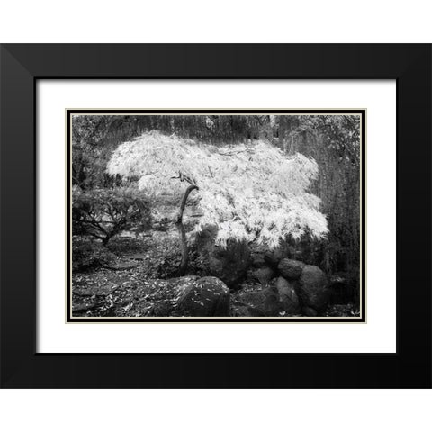 Magic Tree Black Modern Wood Framed Art Print with Double Matting by Geyman, Vitaly