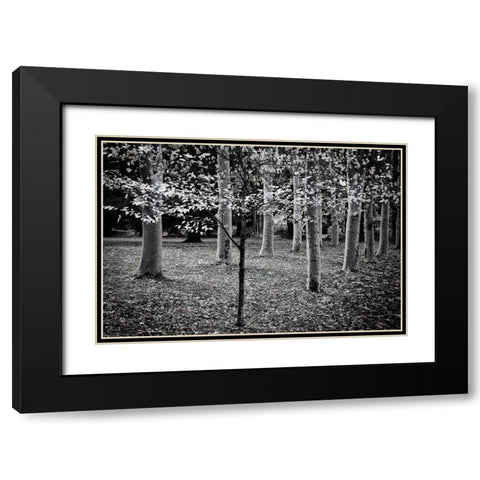 Primadona Black Modern Wood Framed Art Print with Double Matting by Geyman, Vitaly