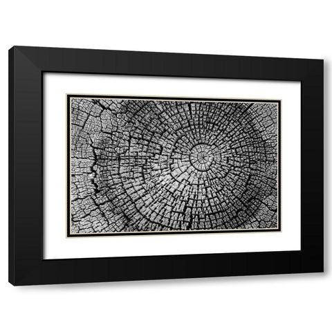 Rings of Life I Black Modern Wood Framed Art Print with Double Matting by Geyman, Vitaly