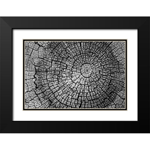 Rings of Life I Black Modern Wood Framed Art Print with Double Matting by Geyman, Vitaly