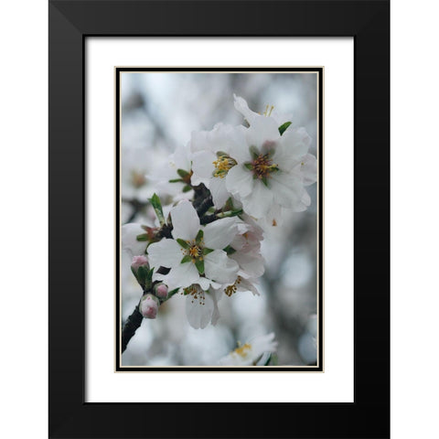 Spring Blossoms I Black Modern Wood Framed Art Print with Double Matting by Geyman, Vitaly
