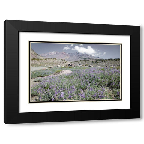 Shasta Majesty II Black Modern Wood Framed Art Print with Double Matting by Geyman, Vitaly